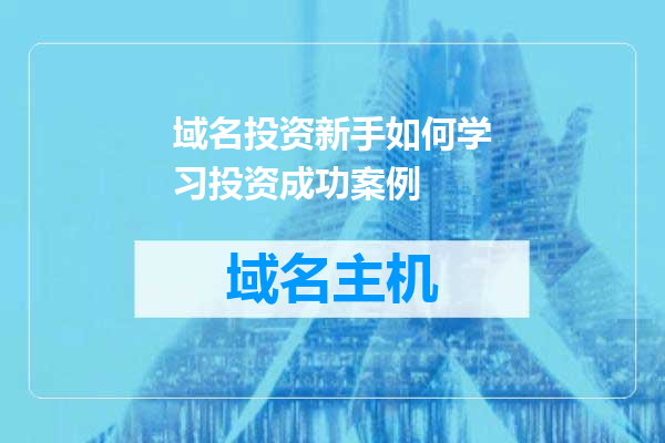 域名投资新手如何学习投资成功案例