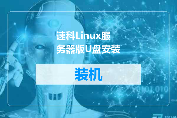 速科Linux服务器版U盘安装
