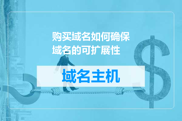 购买域名如何确保域名的可扩展性