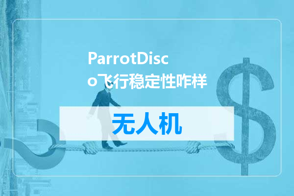 ParrotDisco飞行稳定性咋样