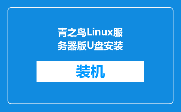 青之鸟Linux服务器版U盘安装