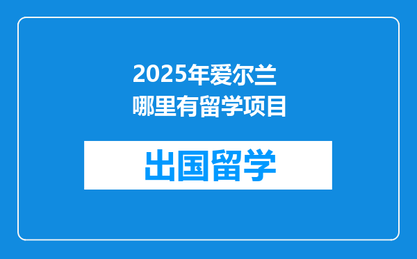 2025年爱尔兰哪里有留学项目