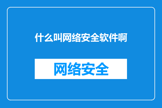 什么叫网络安全软件啊