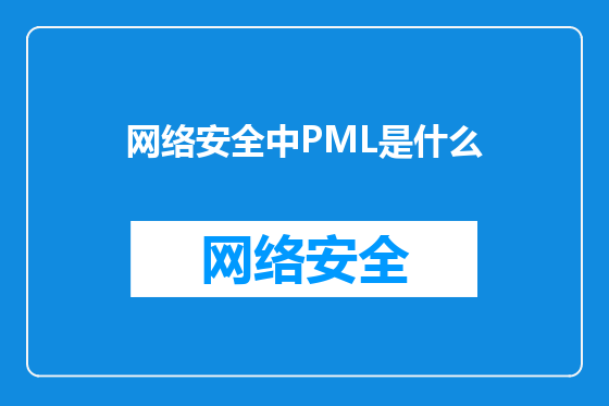 网络安全中PML是什么