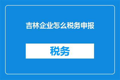 吉林企业怎么税务申报