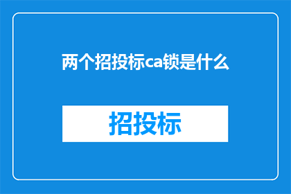 两个招投标ca锁是什么