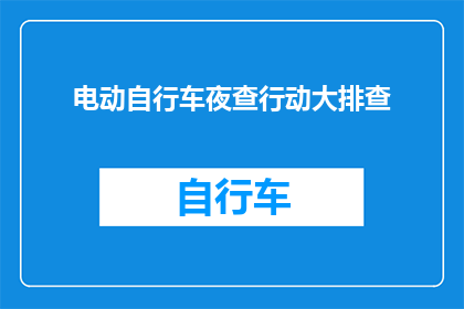 电动自行车夜查行动大排查(电动自行车夜查行动大排查：安全检查是否全面覆盖？)