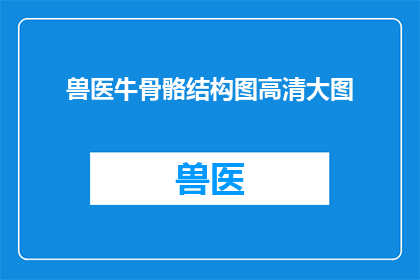 兽医牛骨骼结构图高清大图(如何获取一份详尽的兽医牛骨骼结构图高清大图？)