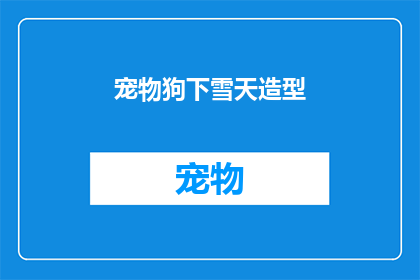 宠物狗下雪天造型(在雪白的世界中，宠物狗如何巧妙变身？)