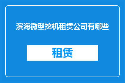 滨海微型挖机租赁公司有哪些(您是否知道滨海地区有哪些专业的微型挖掘机租赁公司？)