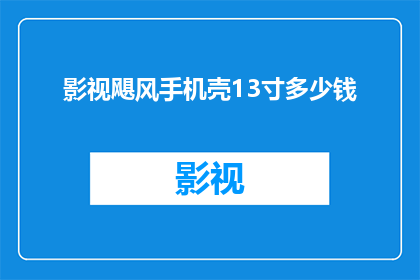 影视飓风手机壳13寸多少钱(影视飓风13寸手机壳的价格是多少？)